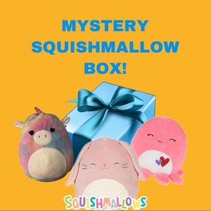Squishmallow Mystery Bundle